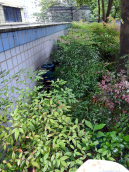 營(yíng)銷(xiāo)部抄表員克服高溫天氣準(zhǔn)時(shí)準(zhǔn)確抄表