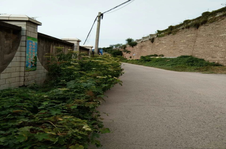 除草刷墻灑汗水，苗圃外貌換新顏