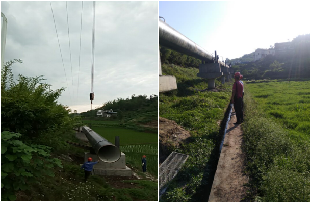 節(jié)物風(fēng)光不相待，滄海桑田須臾改